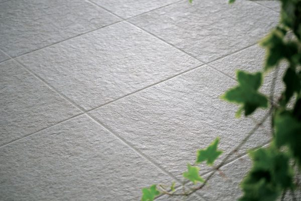 Ecologia e costruzione