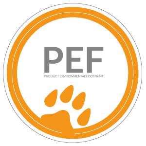 Logo PEF