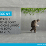 Le piastrelle ceramiche sono ecologiche lungo tutto il loro ciclo di vita